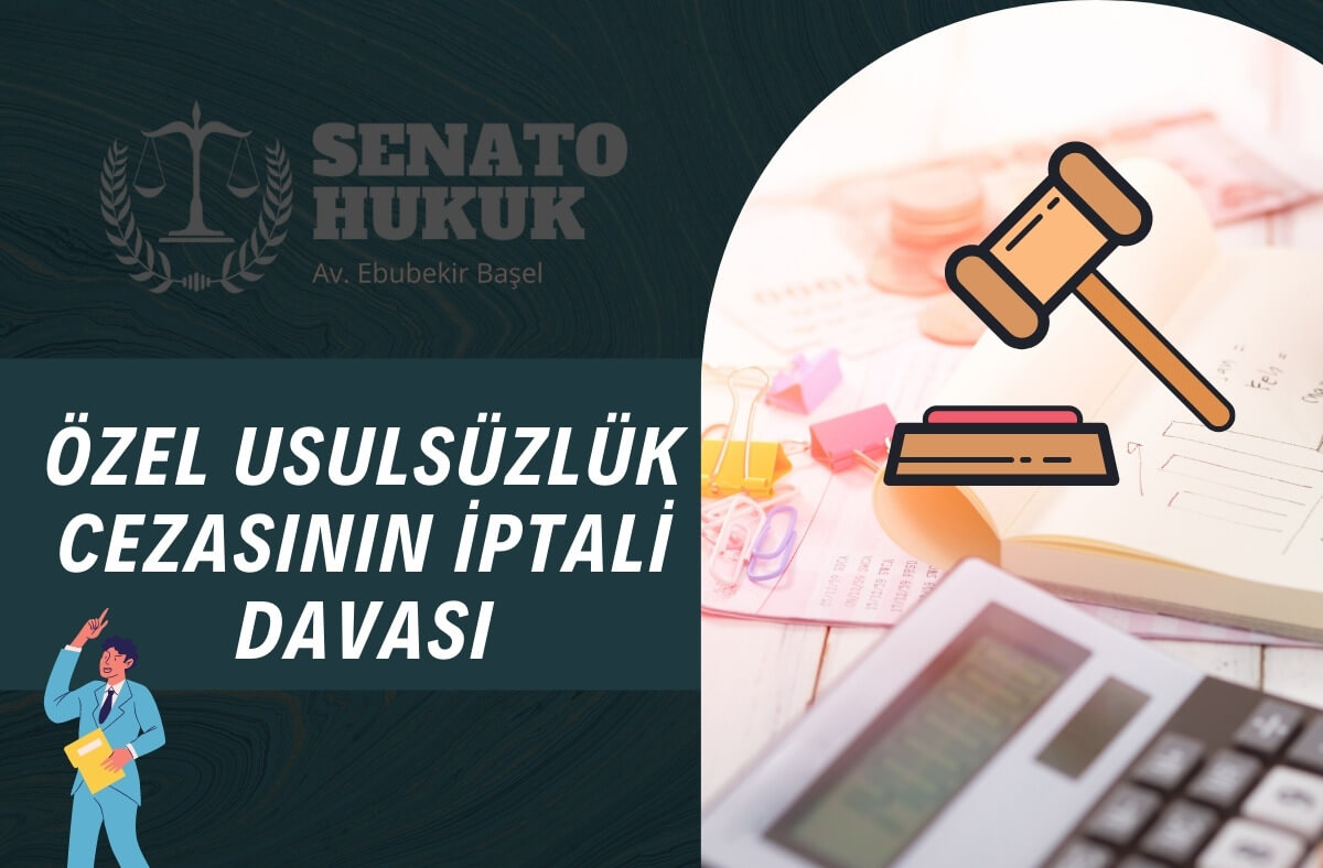 Özel Usulsüzlük Cezasının İptali Davası Senato Hukuk