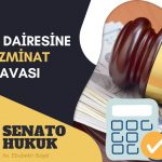 Vergi Dairesine Tazminat Davası Senato Hukuk